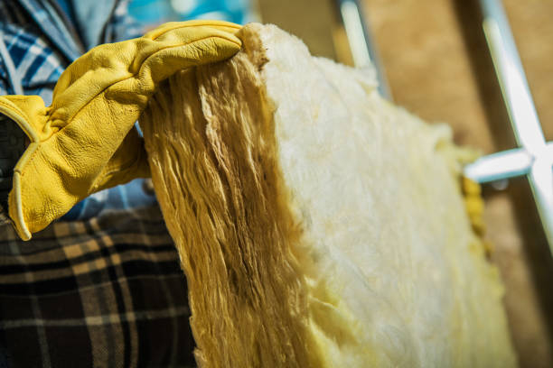 Best Insulation Maintenance and Repair in Mount Ora, OH